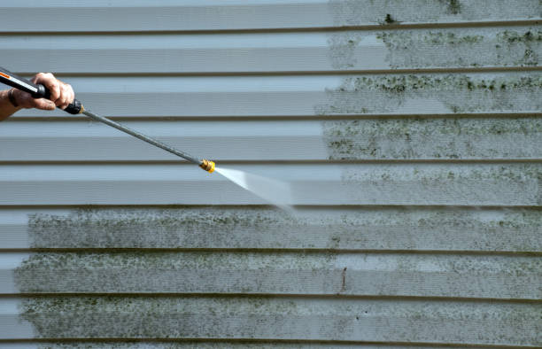 Best Gutter Cleaning and Brightening in Ayden, NC