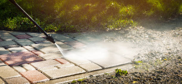 Best Residential Pressure Washing in Ayden, NC