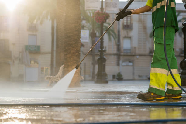 Best Driveway Cleaning and Restoration in Ayden, NC